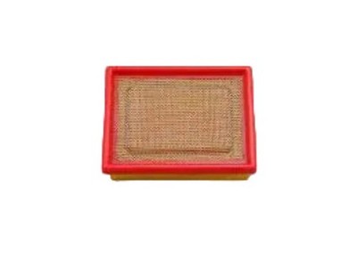 Triumph Air Filter - Modern Classics - T2201057