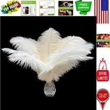 Bulk 20 pcs White Ostrich Feathers 6-8 inch - Ideal for Centerpieces Costumes