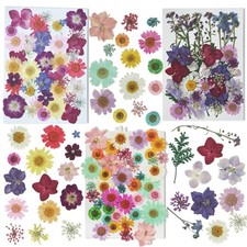 Dried Pressed Flowers for Resin, Real Flowers Dry Leaves Bulk Natural Herbs K...
