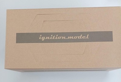 Ignition Model 118 Scale Car IG2703 LB-ER34 SUPERSILH Used