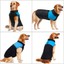 thumbnail 5 - Dog Clothes for Big Dogs Winter Coat Waterproof Large Dog Jacket Vest 6XL 7XL