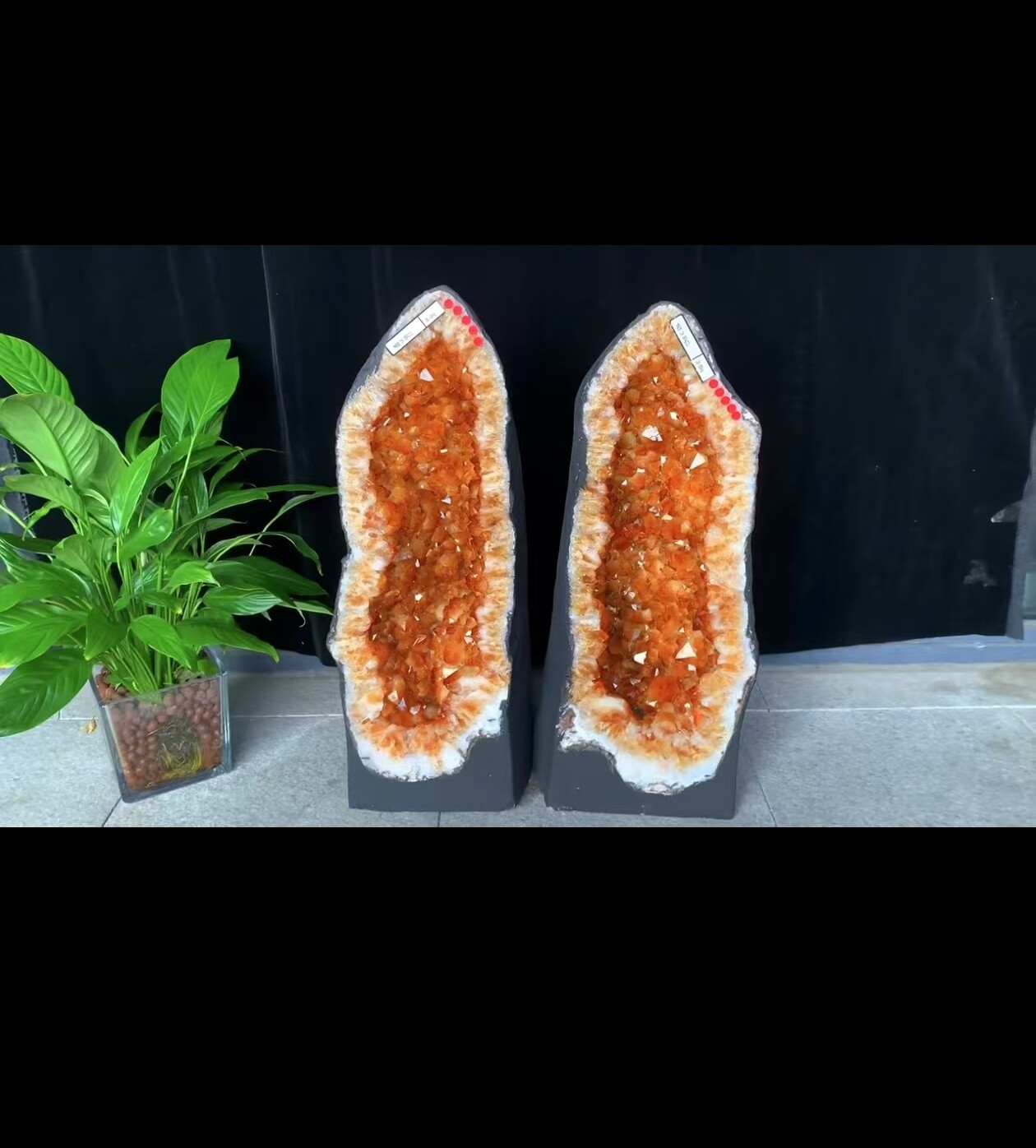 160LB Rare Natural Citrine Geode Quartz Cluster Crystal for Reiki Healing, Meditation, and Home Decor