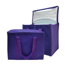 Set of 2 Large Insulated Collapsible Cooler Bags with Durable Dual Zipper