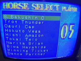 Gallop Racer Jamma board (PCB) for Arcade game 100 % Working & Original