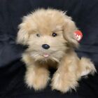Ty Classic Plush Colonel Dog Stuffed Animal 8" 2006 Beanie Babies Guc!