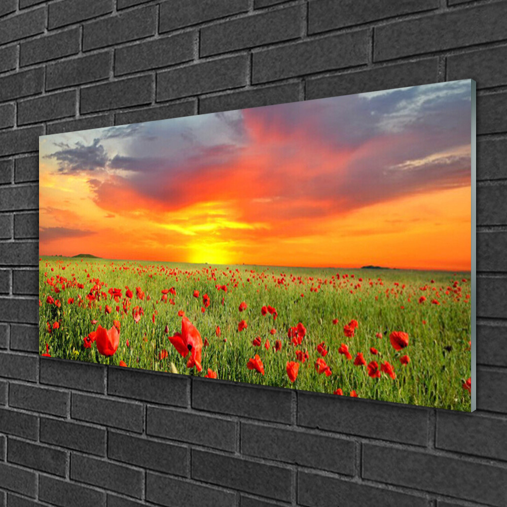 Tableau sur verre paysage nature coquelicots rouge et soleil couchant 100x50 cm pour chambre