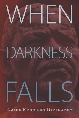 When Darkness Falls Kaizer Mabhilidi Nyatsumba Taschenbuch Englisch 2015