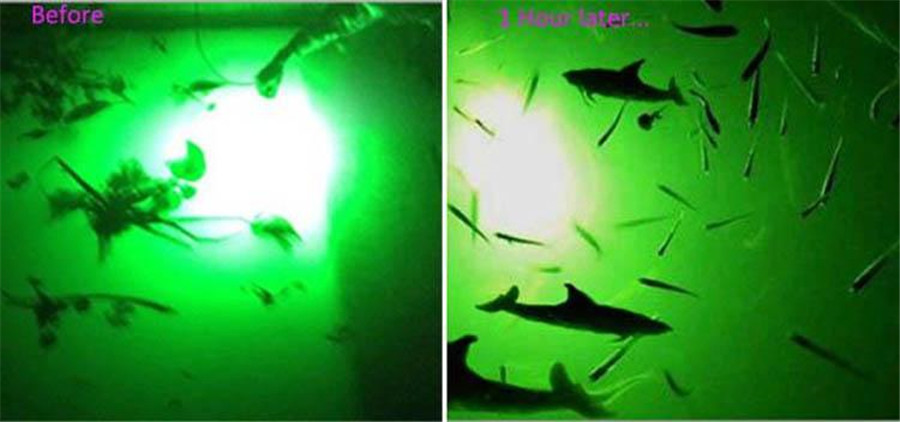High Brightness 30W 60W 100W 200W 300W 400W Led Ip68 Green Light Fishing Lure Su - Foto 8