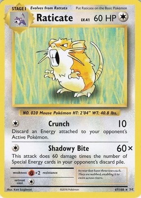 Raticate Rare XY - Evolutions 67/108 NM
