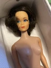 1968 Mattel The World Of Barbie Doll Vintage Case Brunette Tilt Head Midge Body