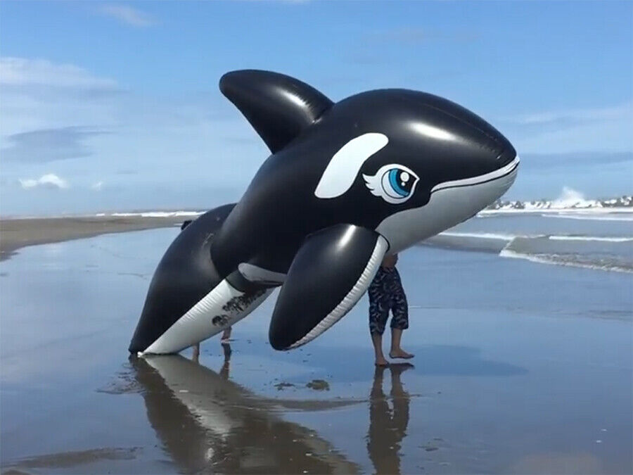 Huge *Black* whale 16+ feet/5 meter+ Shiny Pool Toy big Huge *Black* whale 16+ feet/5 meter+ Shiny Pool Toy big