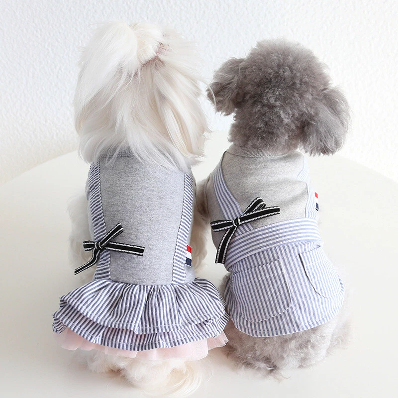 Male dog dress cheap