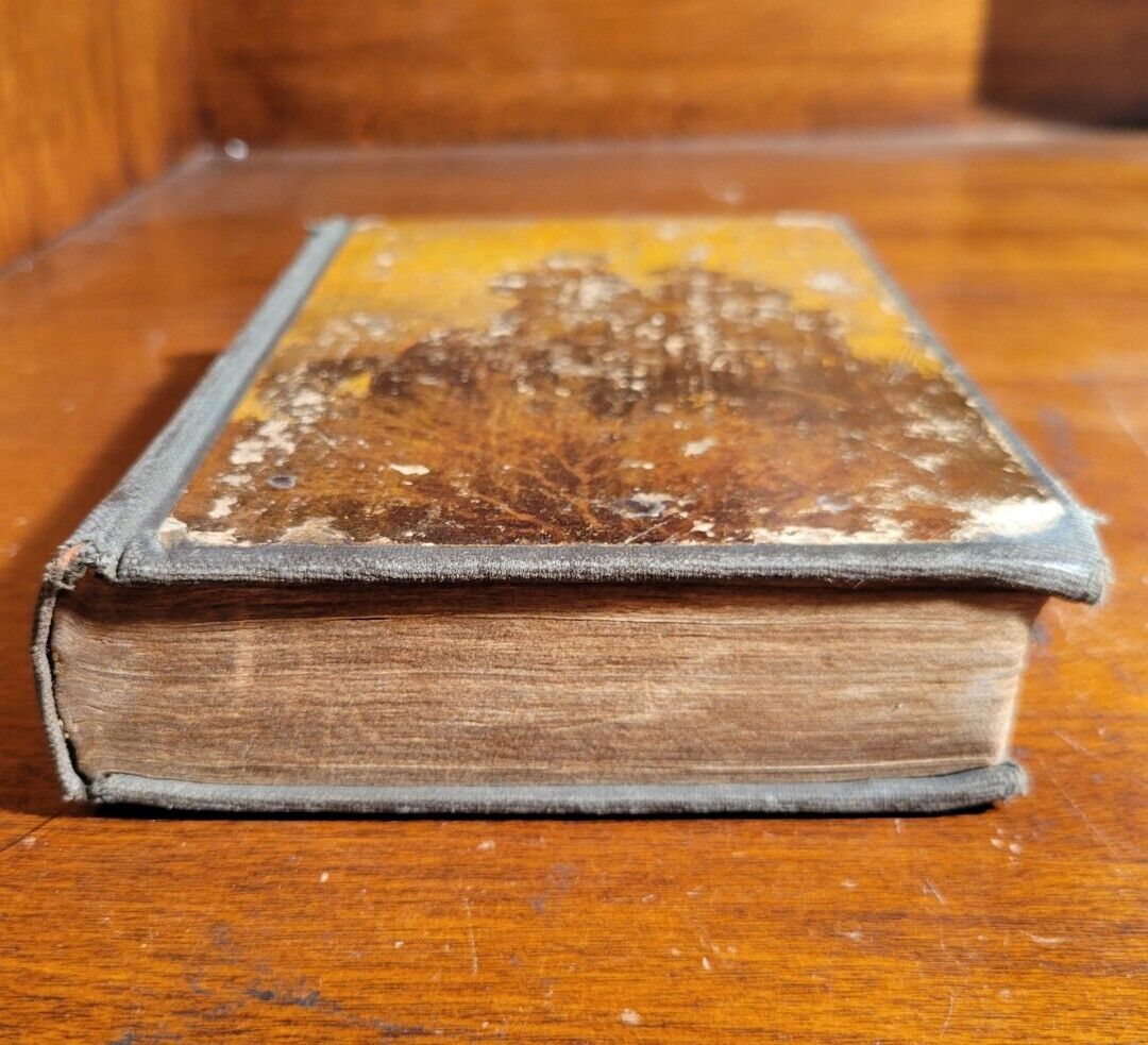 Picture 5 of 23