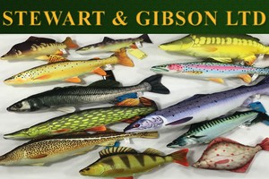 Gaby Fish Carp Cod Pike Salmon Flounder Seabass Brown Trout