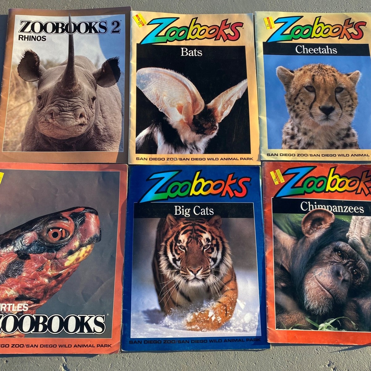 VTG-Lot of 6 Zoobooks Magazines-Turtles, Bats, Wolves, Cheetahs