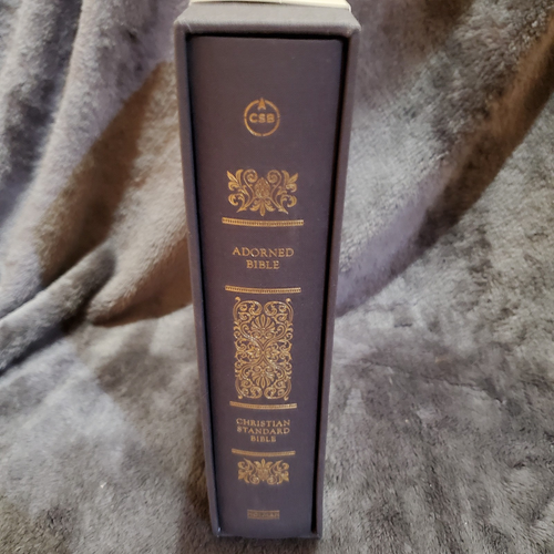 CSB Adorned Bible Gray (2022 Hardcover w/ Slipcase) - Foto 2 di 7