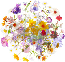 120 Pieces Cute Clear Flowers Stickers Set PET Transparent Flower Stickers for J