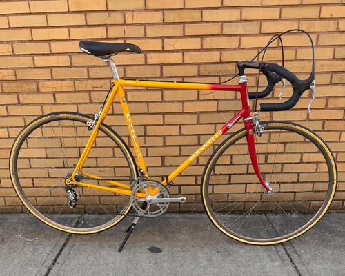 Pinarello Treviso Classic Road Bike Campagnolo Super Record - 58cm