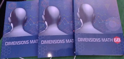 Dimensions Math 6B Singapore Textbook Lot Of 3 Books Homeschool Excellent Cond