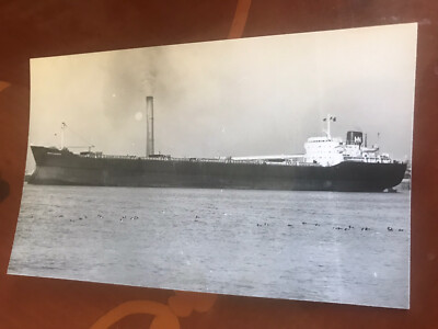 Bulk Carrier   BUCCLEUCH   Schiff. Foto (14 X 9 cm) 25