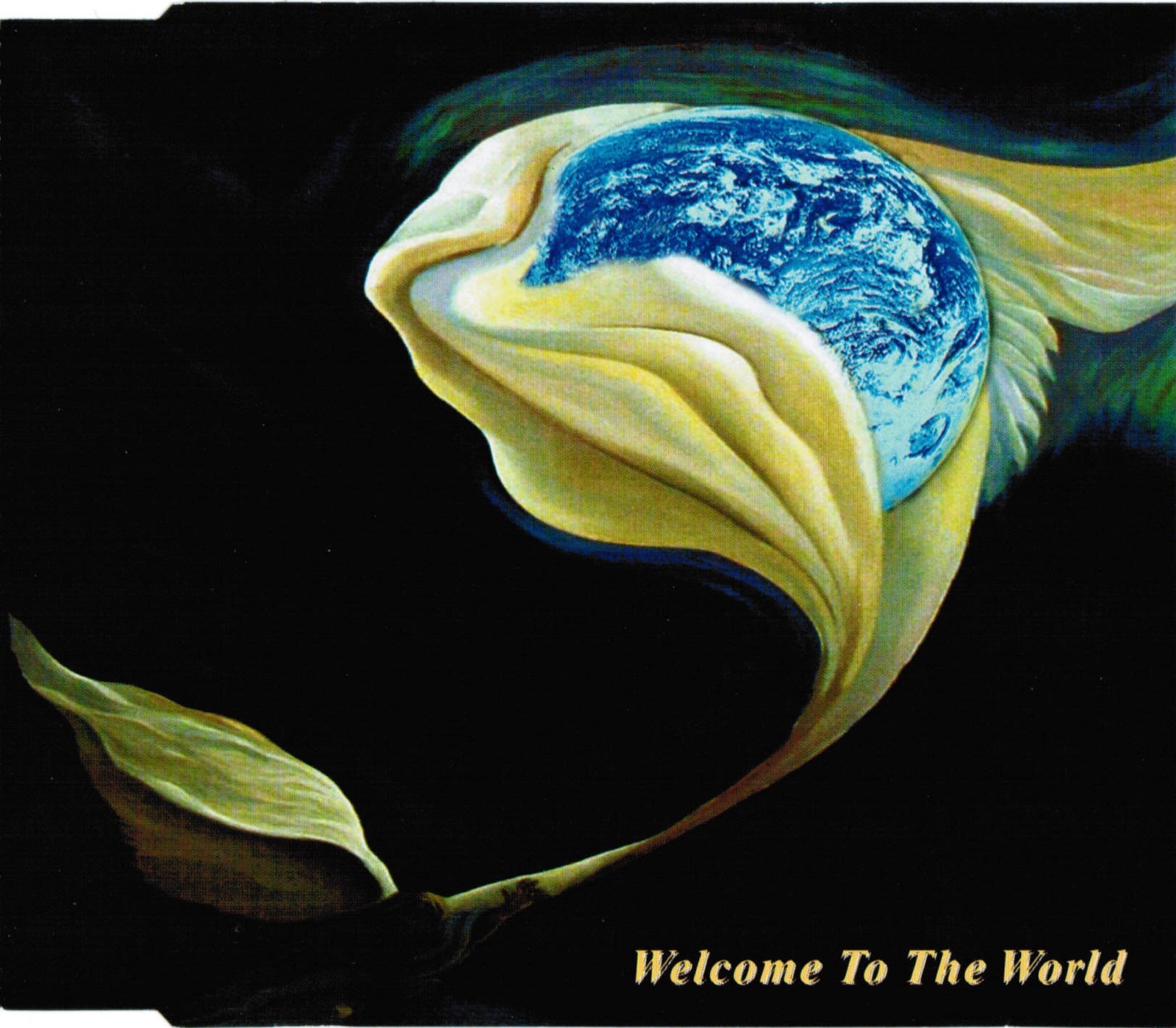 Welcome to the World Welcome to the World (CD)