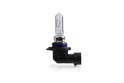 2 Stück 12V 60W HB3 / 9005 Halogen Lampe Glühlampe Autolampe Glühbirne P20d  M9w