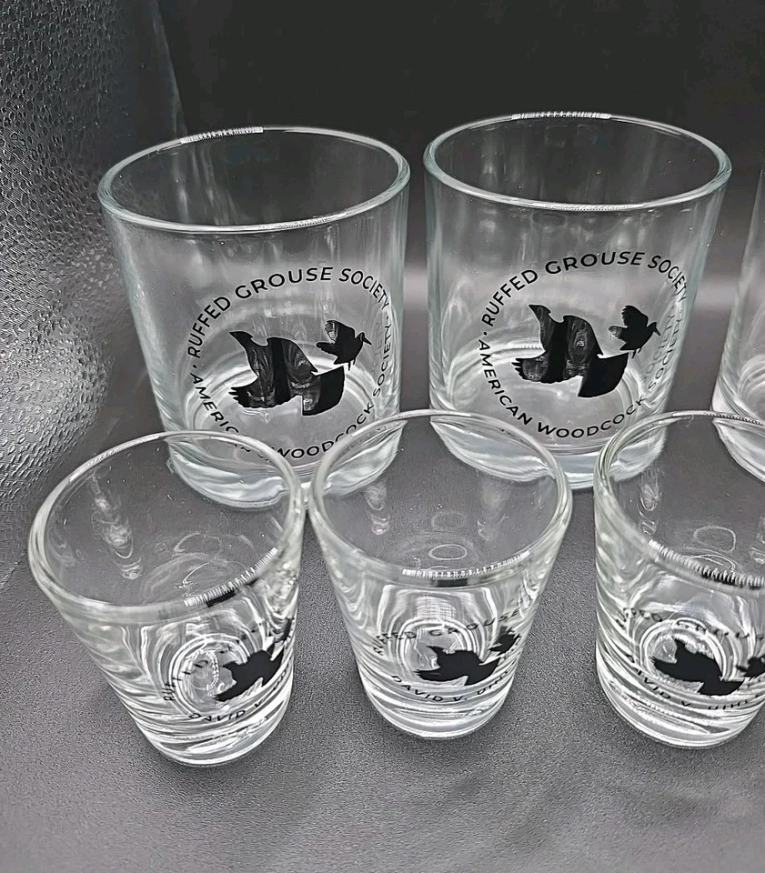 Ruffed Grouse Society ~ American Woodcock Society ~ Juego de 10 vasos de barra ~ Raro Foto 2 de 4