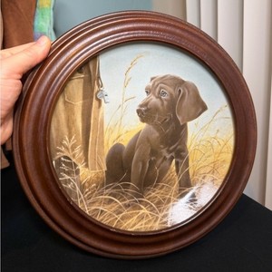 Knowles "Command Performance" collector's plate featuring a Weimaraner puppy.