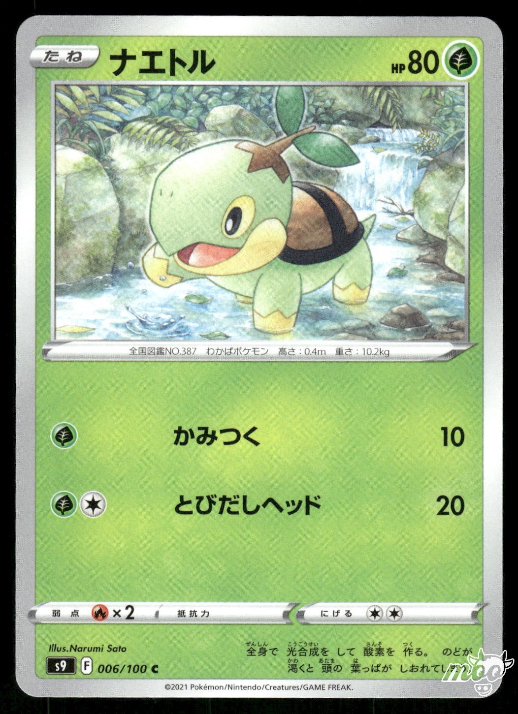 2022 Lightly Played Pokemon Turtwig 006/100 Star Birth Japanese