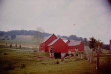 JULY 1975 Farm Scene Vermont Slide CO-N