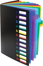 24 Clear Pocket Expanding File Folder with 12 Colored Tabs, Letter Size, Holds 3