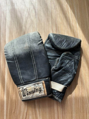 Winning Boxing Punching Gloves SS SB-2000 Vintage Initial Logo