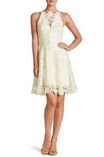 Dress the Population 'Hayden' Crochet Lace Fit & Flare Dress (size L)