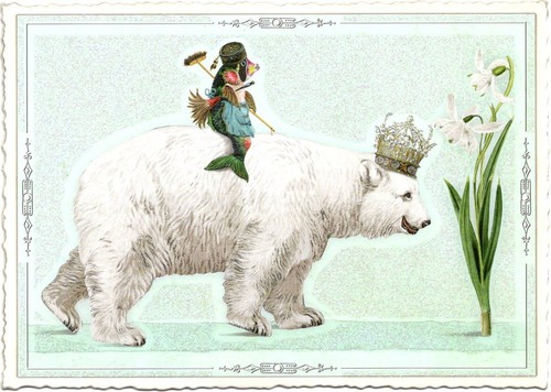 Edition Tausendschön | Postkarte A6 | Flora & Fauna | Motiv wählbar - Bild 62 von 78