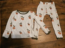 Kyte Baby Toddler Pajamas 2 Piece  Persimmon Orange Gender Neutral Bamboo 12-18