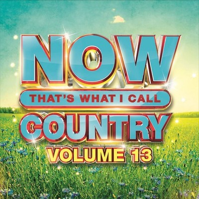 Various Artists Now That's What I Call Country, Volume 13 (CD)