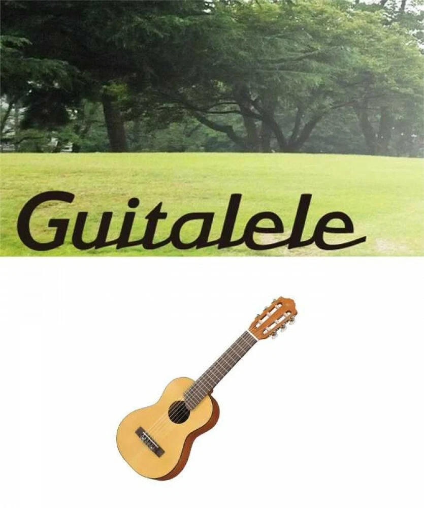 Best guitalele cheap brands