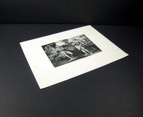 Erminia and Shepherds, warrior woman, 1892 vintage B&W art print - Picture 3 of 3