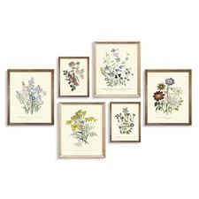 Rustic Modern French Country Cottagecore Wall Art - Watercolor Vintage Flower...