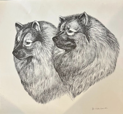 Keeshond Pair Ltd Ed signed print by Martha Van Loan 20 x26