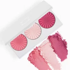 Ofra Blush Palette with Pink Shades