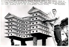 LG67 1964 Wire Photo KING SIZED BIRD HOUSE 170-UNIT ULTRA-MODERN RESORT HOTEL