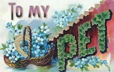 To My Pet Valentines Love Greeting Posted Vintage Divided Back Post Card