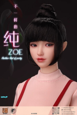 I8-H005 5体セット　1/6フィメールHeadゾーイ　ABCDE i8TOYS 1/6 I8-005 アジアン ガール ヘッド 純 ZOE 女性 眼球