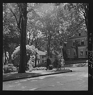 Photo:Oswego New York 1940s Street Scene Tree-Lined Residential Homes
