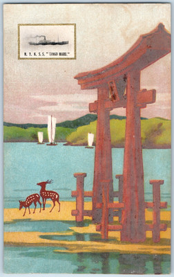 c1910 Nippon Yusen Kaisha Steamship Tango Maru Postcard P211