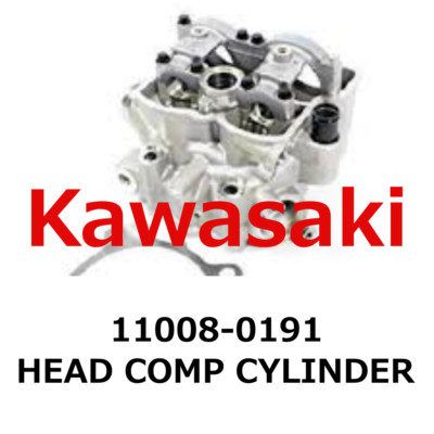KAWASAKI KX250F Cylinder Head 11008-0842 NEW Genuine