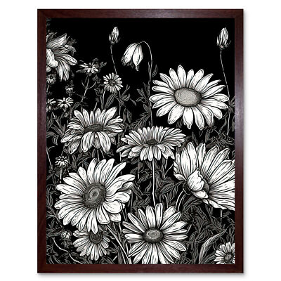 Gänseblümchen Blumenfeld schwarz-weiß Illustration gerahmter Wandkunstdruck 12x16