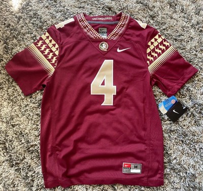 dalvin cook florida state jersey