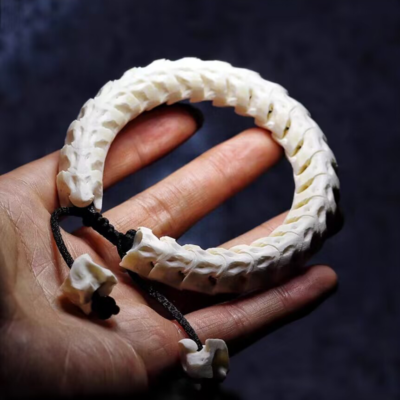 100% Natural Genuine Snake Spine Bone Skeleton Vertebrata Bracelet